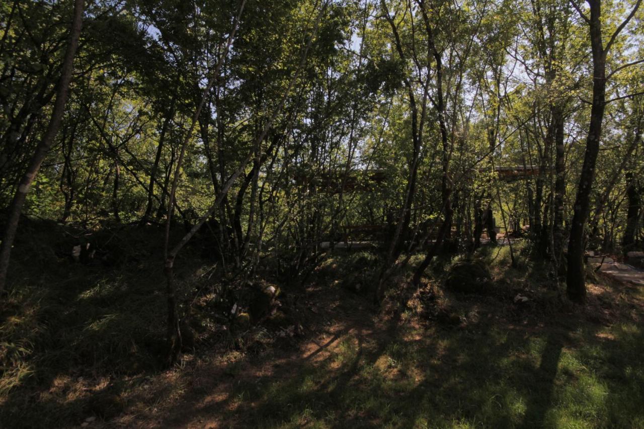 Vukova Dolina Apartments Cetinje Buitenkant foto
