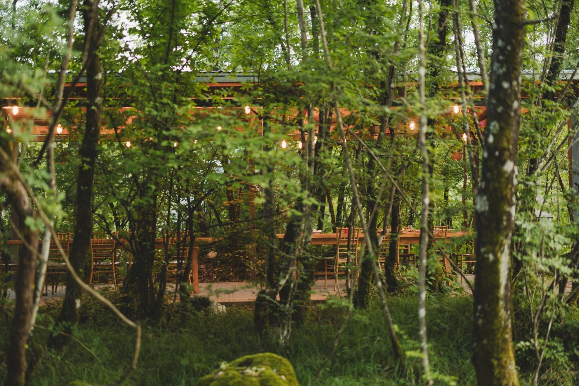Vukova Dolina Apartments Cetinje Buitenkant foto